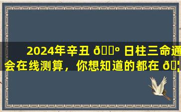 2024年辛丑 🐺 日柱三命通会在线测算，你想知道的都在 🦁 这里！